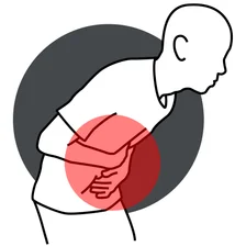 Abdomen and psoas