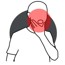 Face, sinus, and TMJ