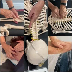 Body Alignment course gallery