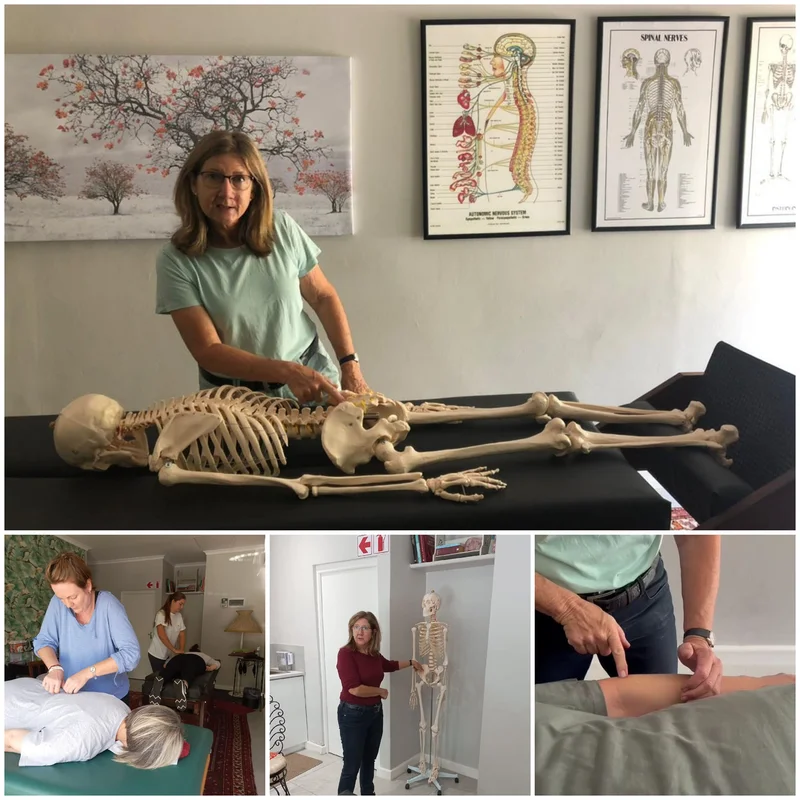 Body Alignment course gallery