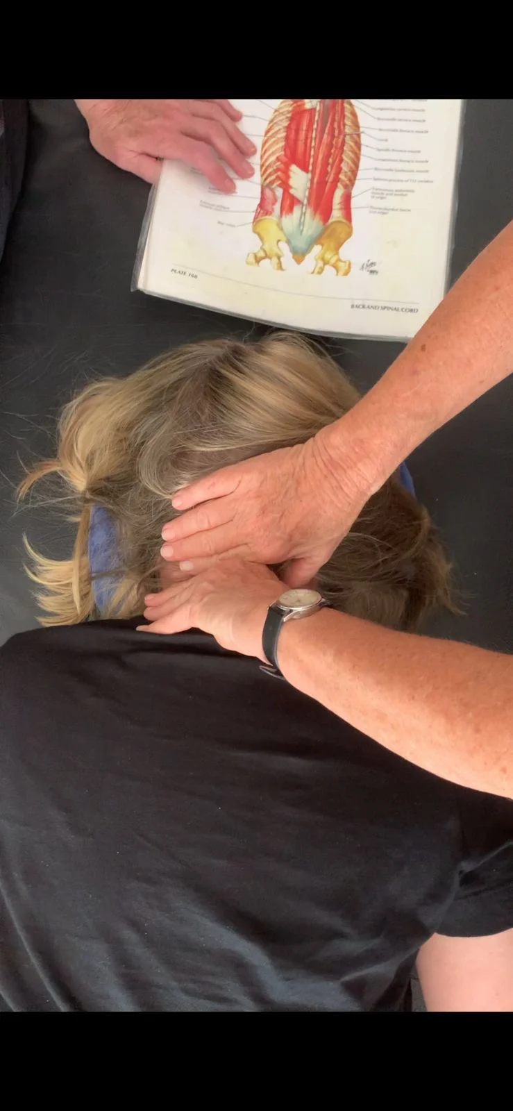 Body Alignment course gallery
